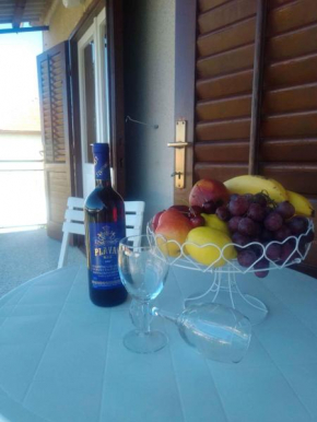 Apartment in Biograd na Moru 7946